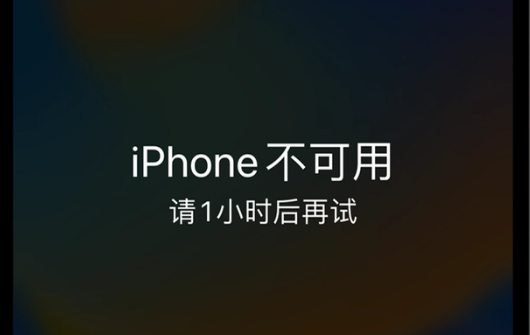 手机显示ipone不可用怎么解决 手机显示ipone不可用解决步骤分享