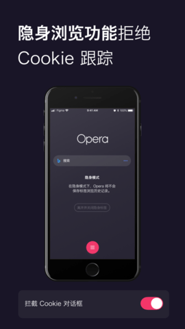 OPERA浏览器国际版app截图1