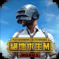 pubg国际服手游