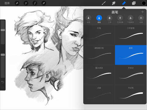 Procreate Pocket手机版最新版截图0