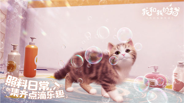 我和我的猫官方正版