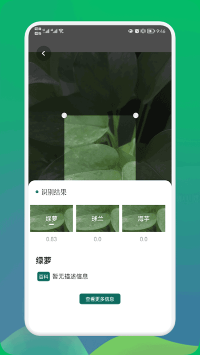 小园丁截图1